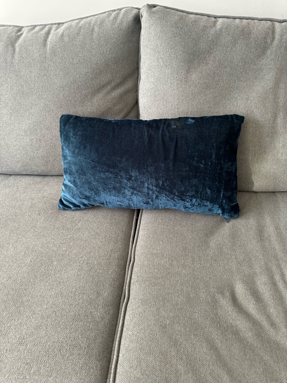 West Elm Plush Velvet Lumbar Pillow